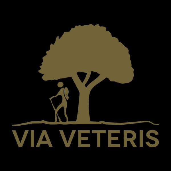 Logo da Via Veteris