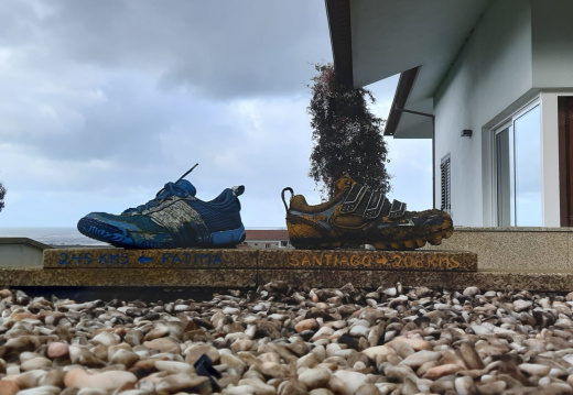 WhatsApp Image 2024-02-24 at 18.59.06 (1)