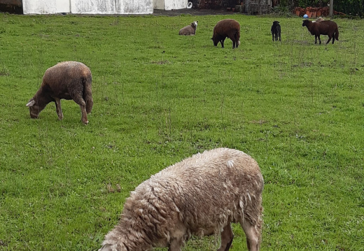 WhatsApp Image 2024-02-24 at 18.59.08 (2)