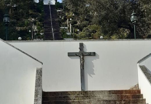 WhatsApp Image 2024-02-24 at 18.59.09