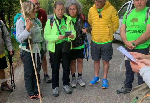 5ª Etapa: Oroso - Santiago