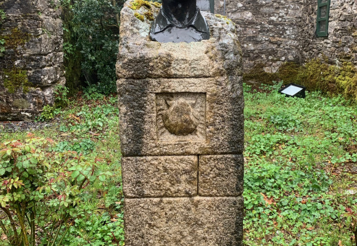IMG 0916